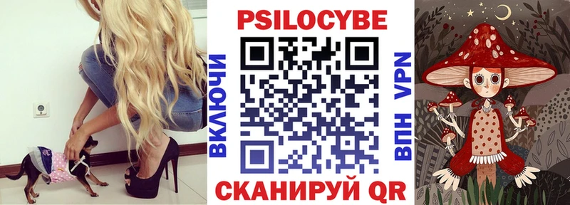 Галлюциногенные грибы Magic Shrooms Ялта