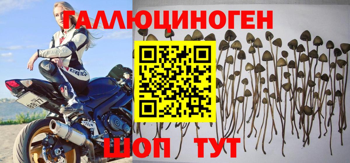 Ялта  Псилоцибиновые грибы мицелий  Вход с VPN 