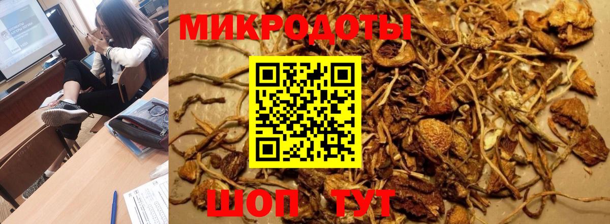 Псилоцибиновые грибы Psilocybine cubensis Ялта