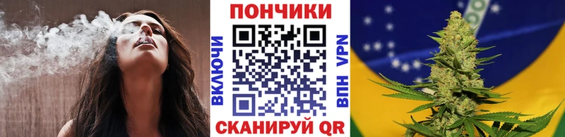 Бошки марихуана планчик  продажа наркотиков  Ялта 